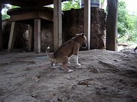 Foto  185